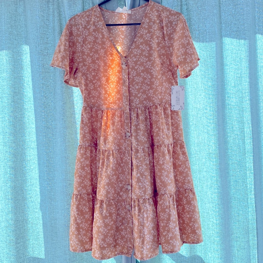 Closet Cleanout